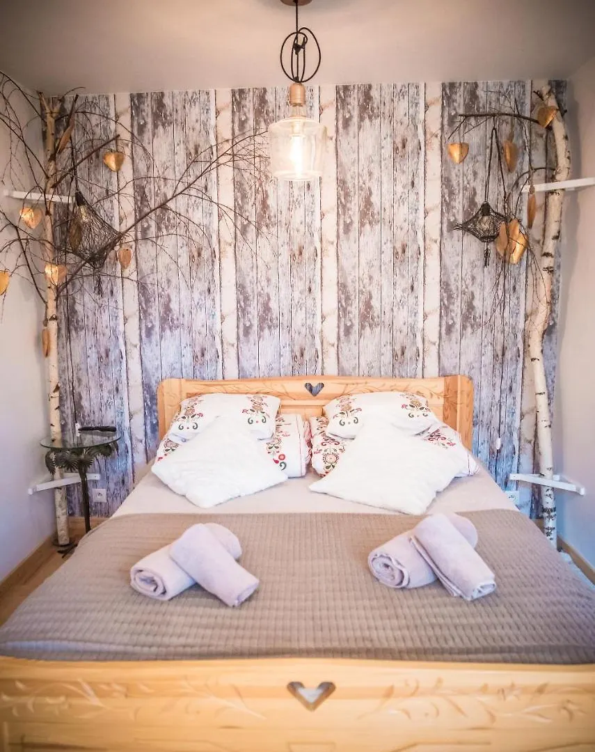 Rezydencja Sasiadow Zakopanego Bed & Breakfast Zakopane